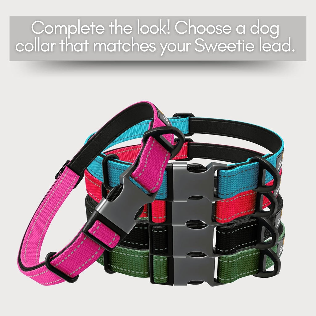 Shock Absorbing Dog Leash – Heavy Duty Reflective Bungee Lead with Dual Handles