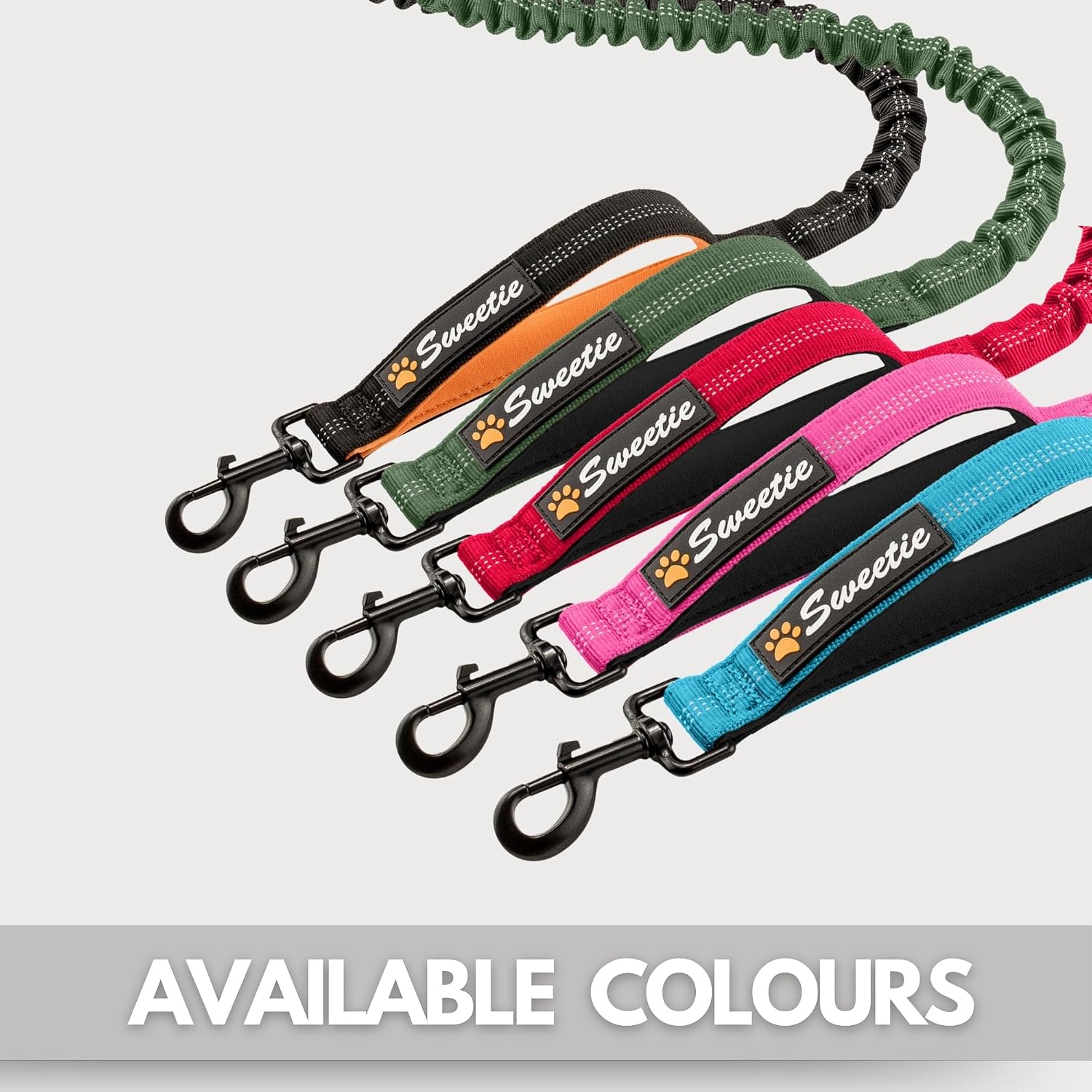 Shock Absorbing Dog Leash – Heavy Duty Reflective Bungee Lead with Dual Handles
