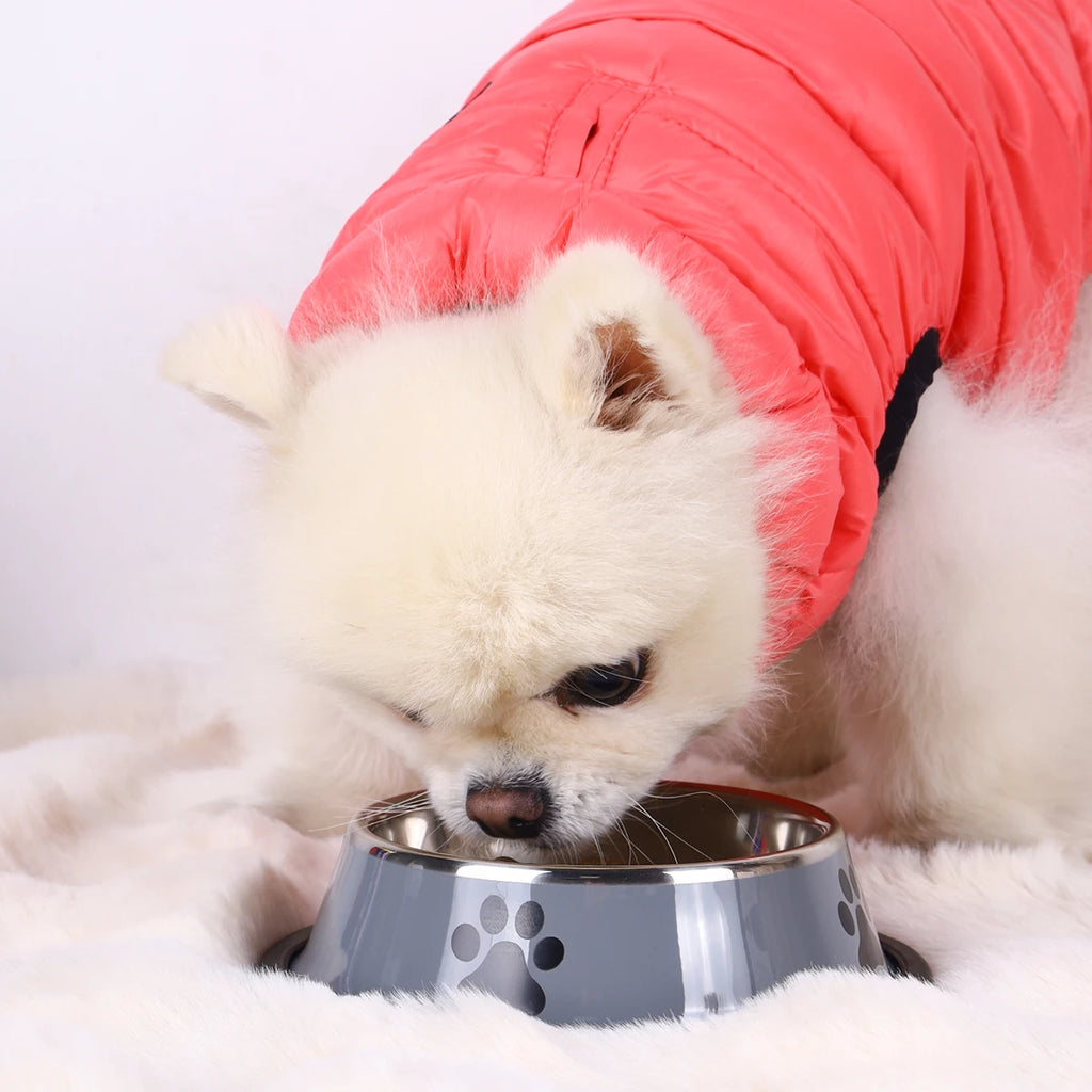 Stainless Steel Dog Bowl – Non-Slip Food & Water Bowl for Dogs & Cats