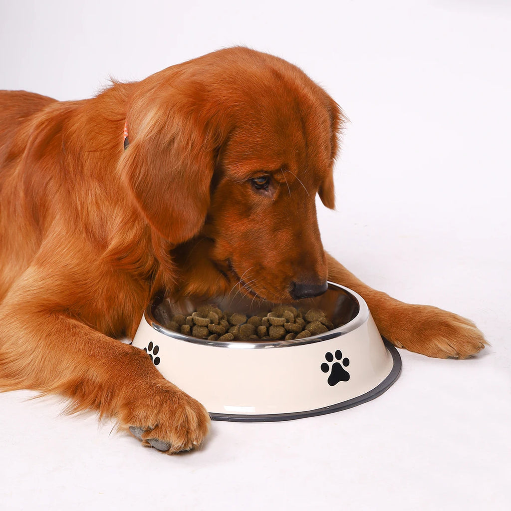 Stainless Steel Dog Bowl – Non-Slip Food & Water Bowl for Dogs & Cats