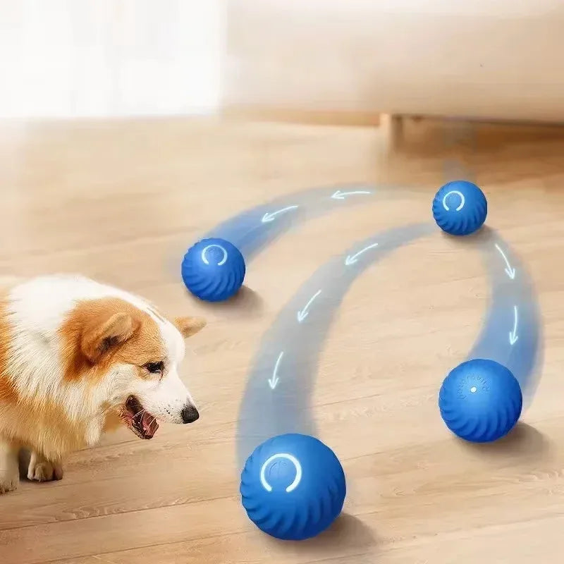 USB Interactive Rolling Dog Ball – Automatic Smart Moving Toy