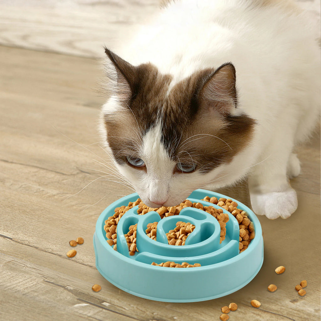 Slow Feeder Pet Bowl – Anti-Choking Non-Slip Dog Feeding Dish