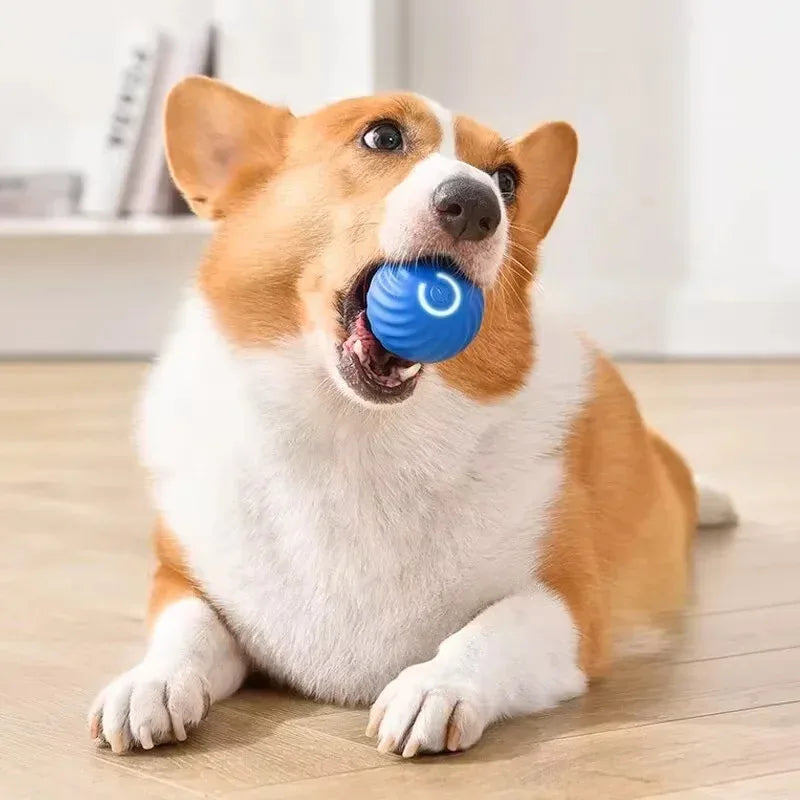 USB Interactive Rolling Dog Ball – Automatic Smart Moving Toy