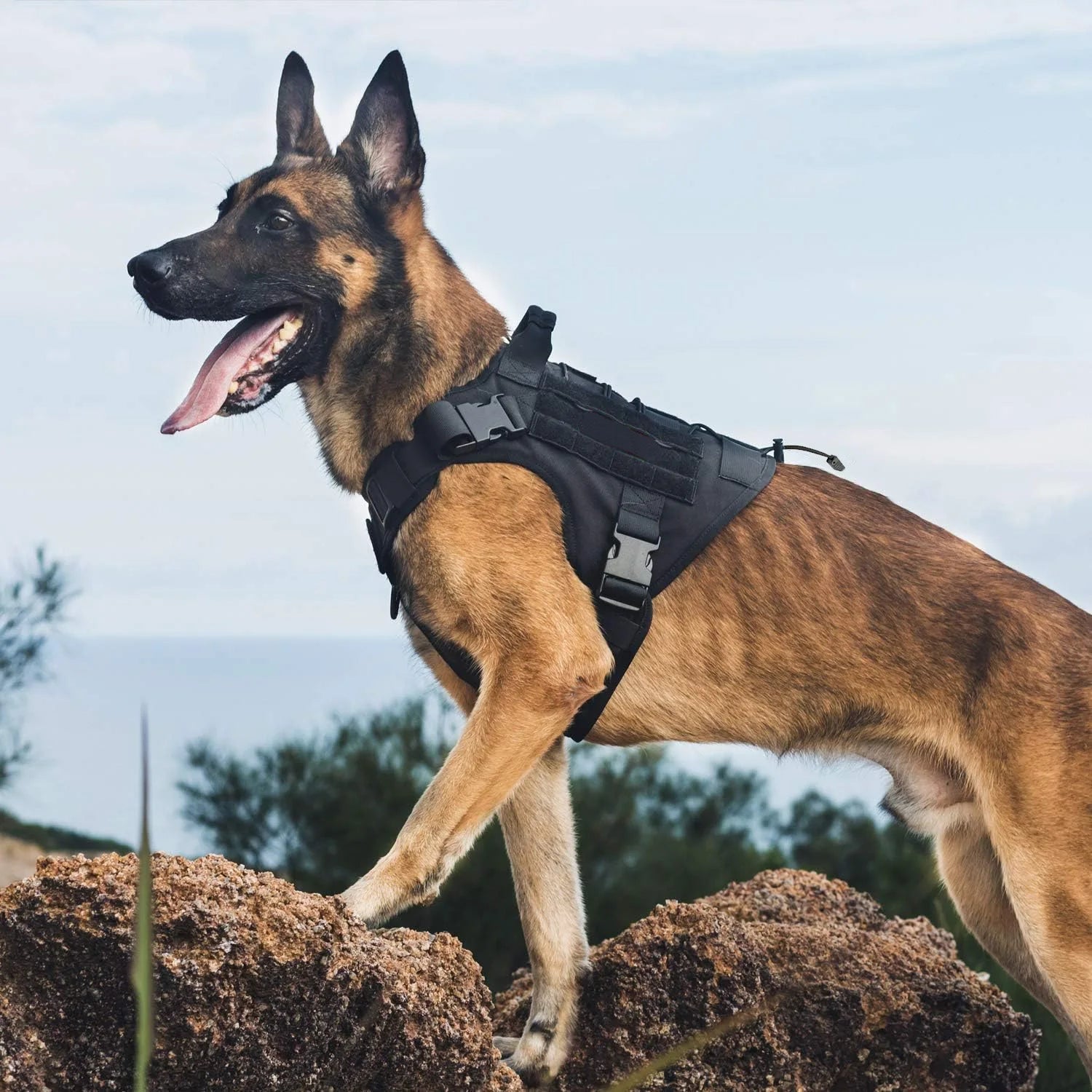 Tactical No-Pull Dog Harness with Control Handle