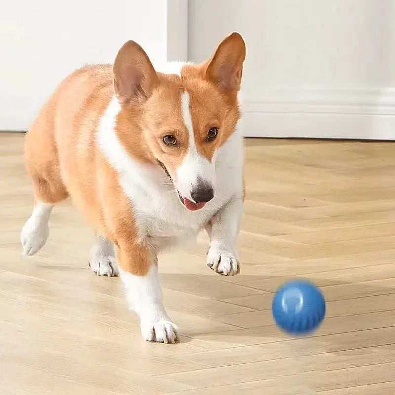 USB Interactive Rolling Dog Ball – Automatic Smart Moving Toy